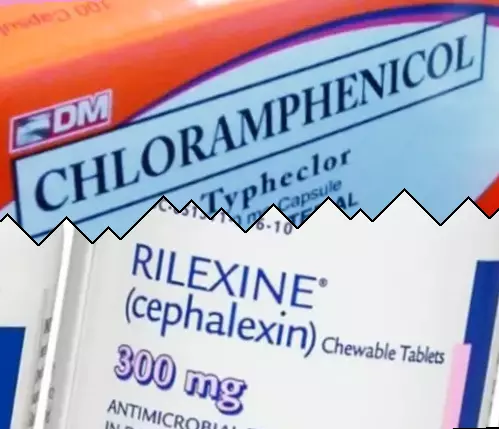 Chloramphenicol vs Cephalexin