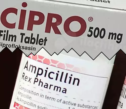 Zipro vs Ampicillin